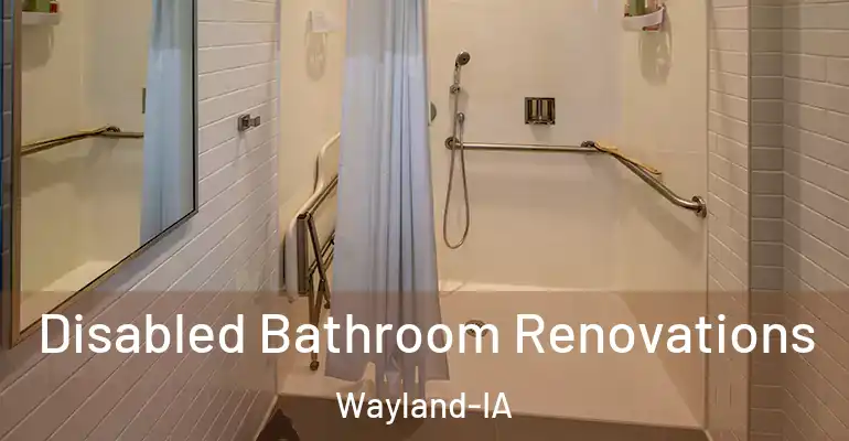 inner Bathroom imggen Disabled Bathroom Renovations Wayland-IA