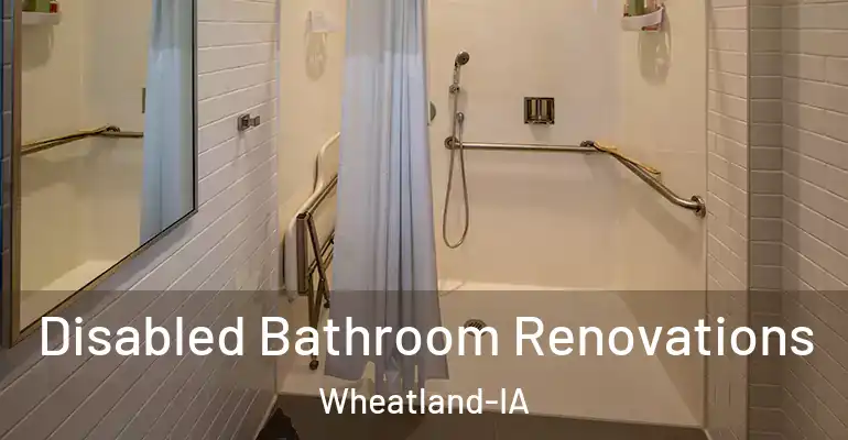 inner Bathroom imggen Disabled Bathroom Renovations Wheatland-IA