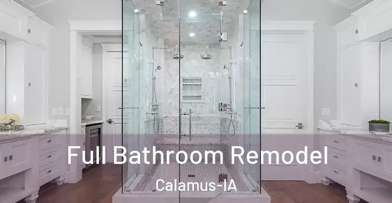inner Bathroom imggen Full Bathroom Remodel Calamus-IA