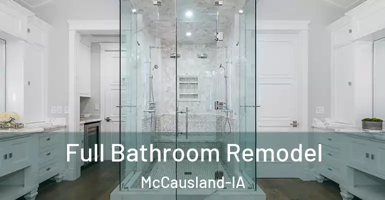 inner Bathroom imggen Full Bathroom Remodel McCausland-IA