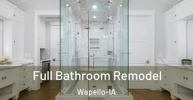 inner Bathroom imggen Full Bathroom Remodel Wapello-IA