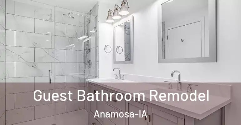 inner Bathroom imggen Guest Bathroom Remodel Anamosa-IA