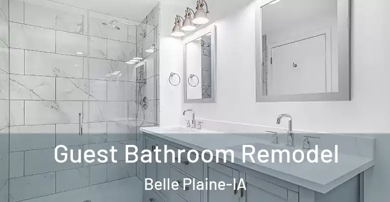 inner Bathroom imggen Guest Bathroom Remodel Belle Plaine-IA