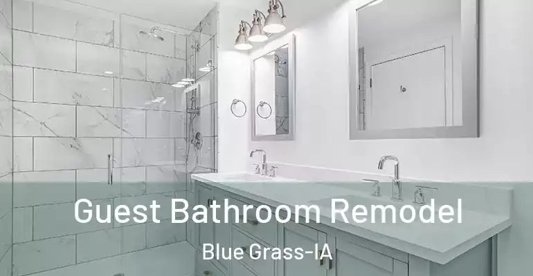 inner Bathroom imggen Guest Bathroom Remodel Blue Grass-IA