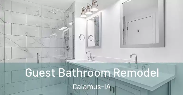 inner Bathroom imggen Guest Bathroom Remodel Calamus-IA