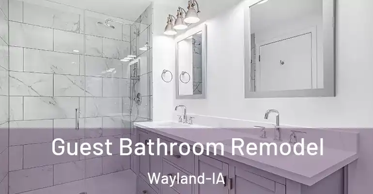 inner Bathroom imggen Guest Bathroom Remodel Wayland-IA