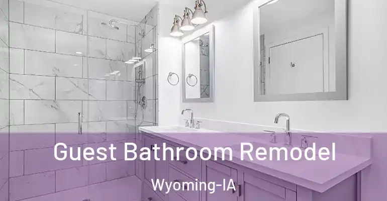 inner Bathroom imggen Guest Bathroom Remodel Wyoming-IA