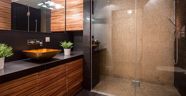 Half Bath Addition in Delta