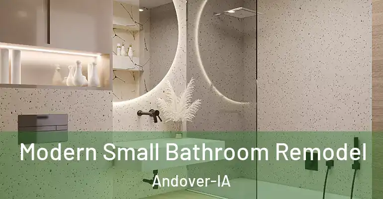 inner Bathroom imggen Modern Small Bathroom Remodel Andover-IA