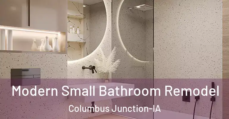 inner Bathroom imggen Modern Small Bathroom Remodel Columbus Junction-IA