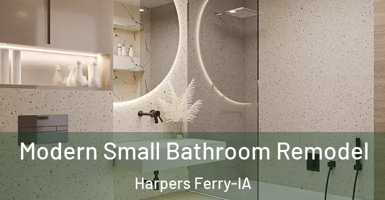 inner Bathroom imggen Modern Small Bathroom Remodel Harpers Ferry-IA