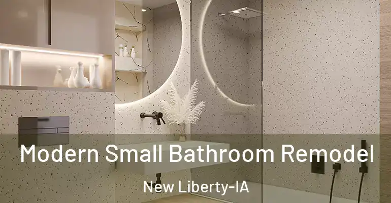 inner Bathroom imggen Modern Small Bathroom Remodel New Liberty-IA