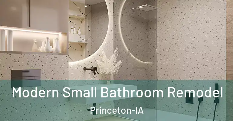 inner Bathroom imggen Modern Small Bathroom Remodel Princeton-IA