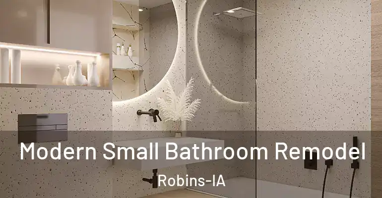 inner Bathroom imggen Modern Small Bathroom Remodel Robins-IA