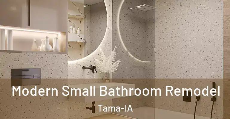 inner Bathroom imggen Modern Small Bathroom Remodel Tama-IA