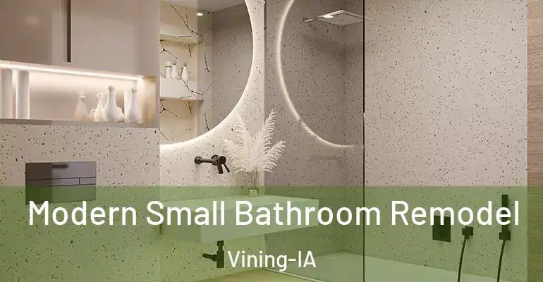 inner Bathroom imggen Modern Small Bathroom Remodel Vining-IA