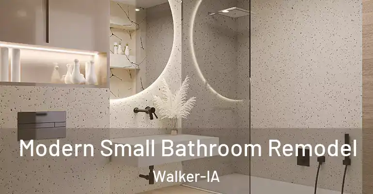 inner Bathroom imggen Modern Small Bathroom Remodel Walker-IA