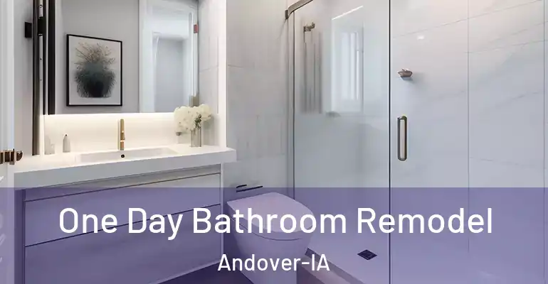 inner Bathroom imggen One Day Bathroom Remodel Andover-IA