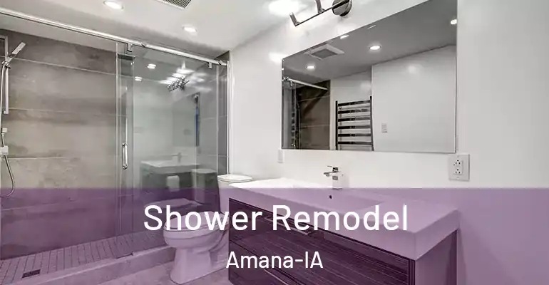 inner Bathroom imggen Shower Remodel Amana-IA