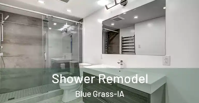 inner Bathroom imggen Shower Remodel Blue Grass-IA