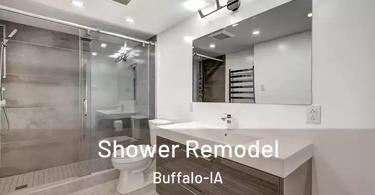 inner Bathroom imggen Shower Remodel Buffalo-IA