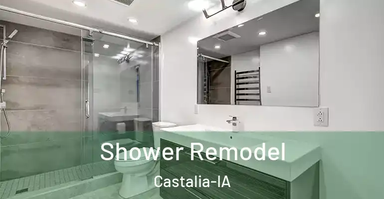 inner Bathroom imggen Shower Remodel Castalia-IA