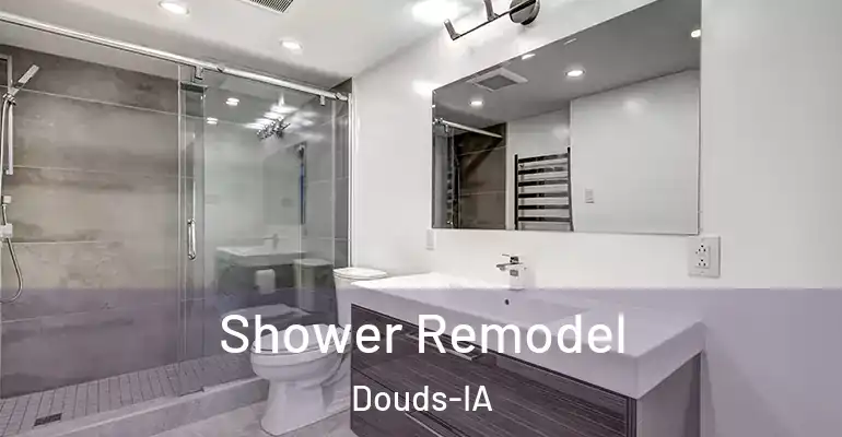 inner Bathroom imggen Shower Remodel Douds-IA