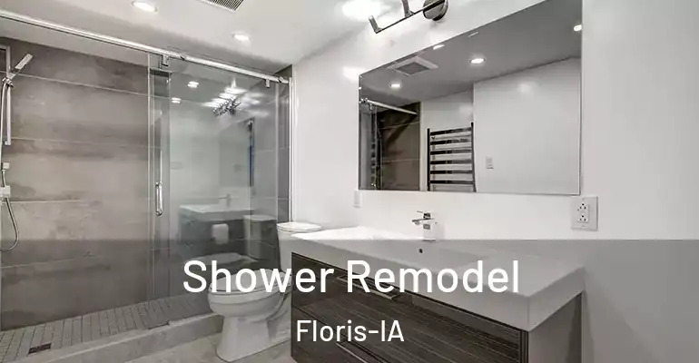 inner Bathroom imggen Shower Remodel Floris-IA