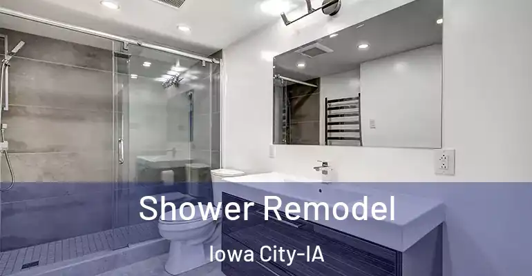 inner Bathroom imggen Shower Remodel Iowa City-IA