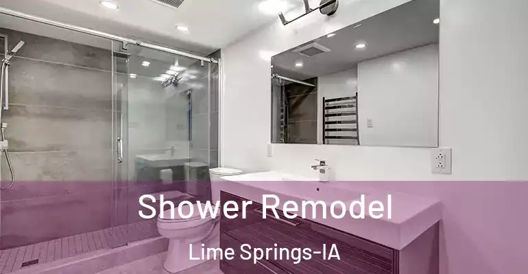 inner Bathroom imggen Shower Remodel Lime Springs-IA