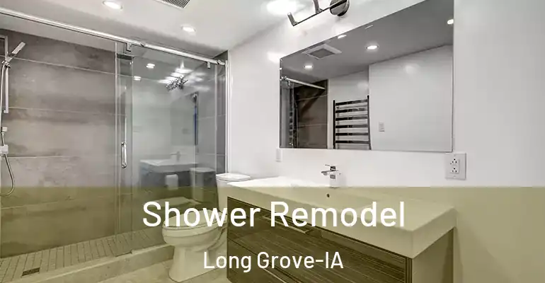 inner Bathroom imggen Shower Remodel Long Grove-IA