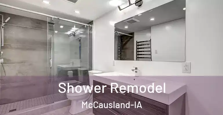 inner Bathroom imggen Shower Remodel McCausland-IA
