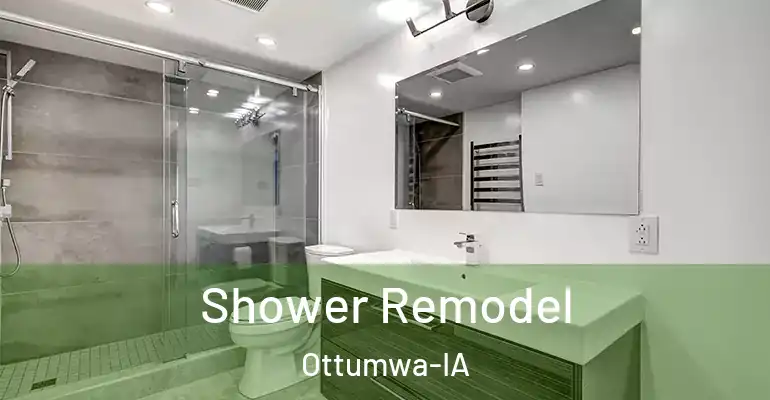 inner Bathroom imggen Shower Remodel Ottumwa-IA