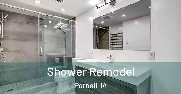 inner Bathroom imggen Shower Remodel Parnell-IA