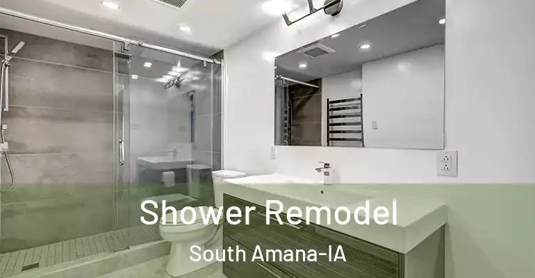 inner Bathroom imggen Shower Remodel South Amana-IA