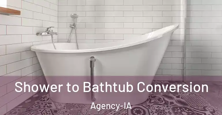 inner Bathroom imggen Shower to Bathtub Conversion Agency-IA