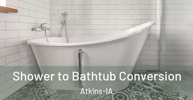 inner Bathroom imggen Shower to Bathtub Conversion Atkins-IA