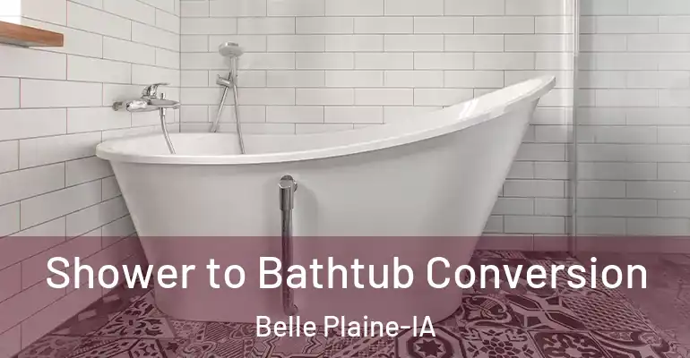 inner Bathroom imggen Shower to Bathtub Conversion Belle Plaine-IA