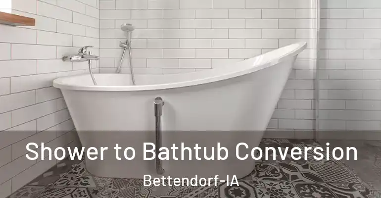 inner Bathroom imggen Shower to Bathtub Conversion Bettendorf-IA