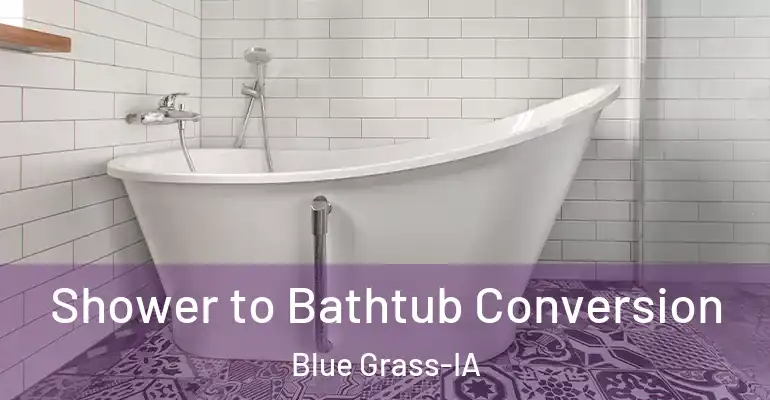 inner Bathroom imggen Shower to Bathtub Conversion Blue Grass-IA