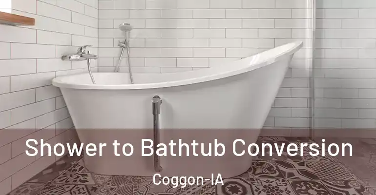 inner Bathroom imggen Shower to Bathtub Conversion Coggon-IA