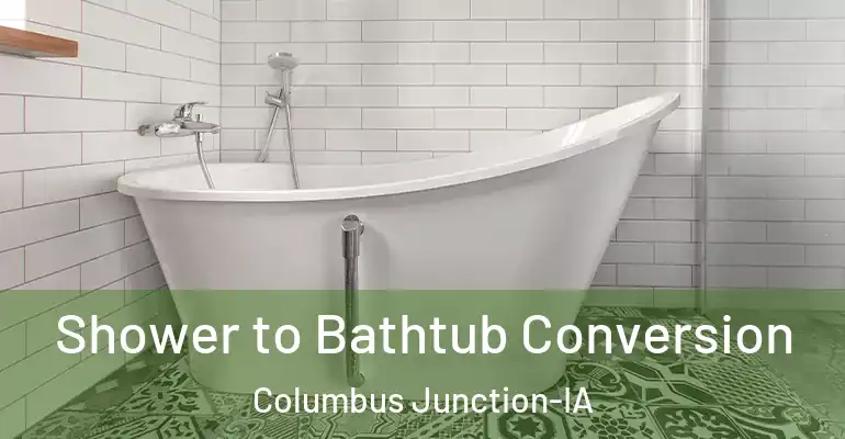 inner Bathroom imggen Shower to Bathtub Conversion Columbus Junction-IA