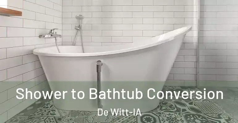 inner Bathroom imggen Shower to Bathtub Conversion De Witt-IA
