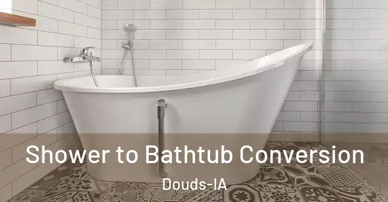 inner Bathroom imggen Shower to Bathtub Conversion Douds-IA