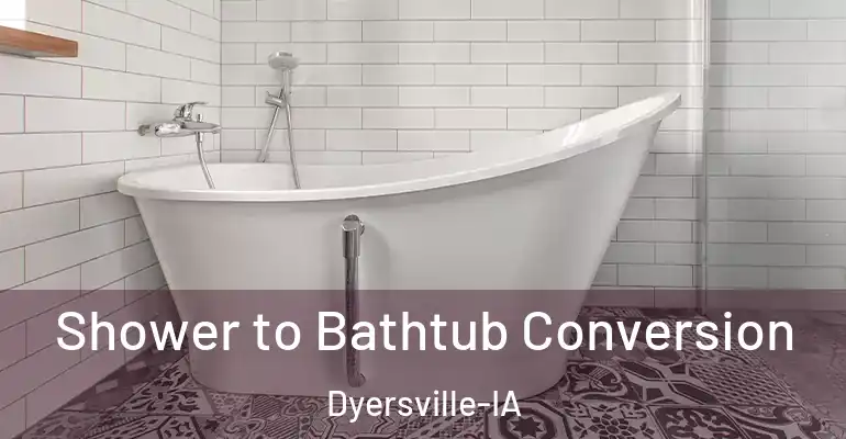 inner Bathroom imggen Shower to Bathtub Conversion Dyersville-IA