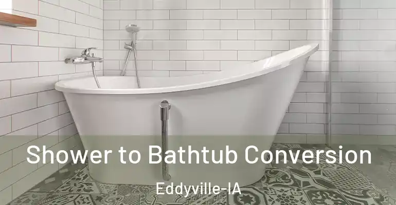 inner Bathroom imggen Shower to Bathtub Conversion Eddyville-IA