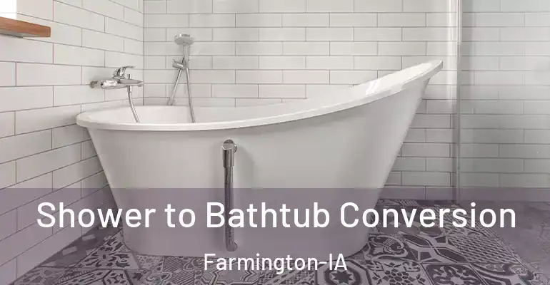 inner Bathroom imggen Shower to Bathtub Conversion Farmington-IA