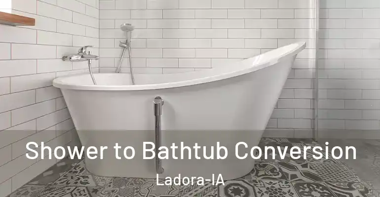 inner Bathroom imggen Shower to Bathtub Conversion Ladora-IA