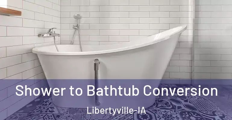 inner Bathroom imggen Shower to Bathtub Conversion Libertyville-IA