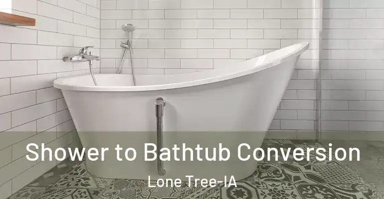 inner Bathroom imggen Shower to Bathtub Conversion Lone Tree-IA